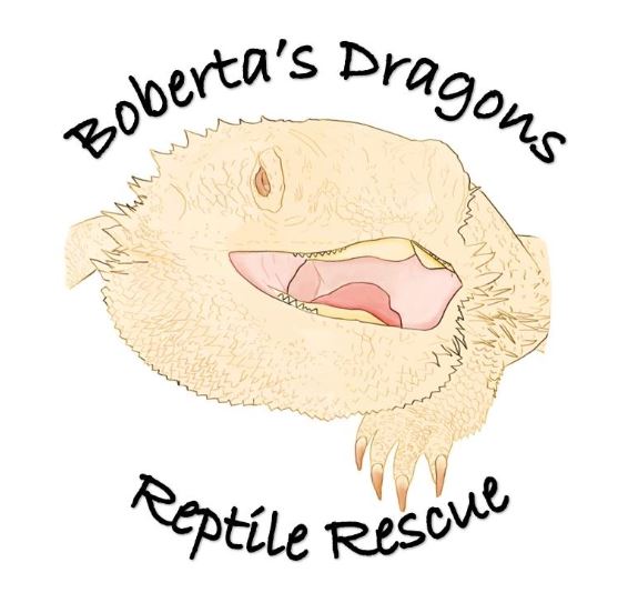 Boberta's Dragons logo