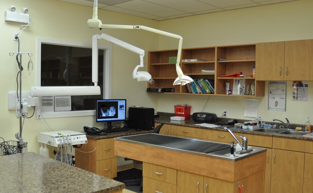 Dental Area