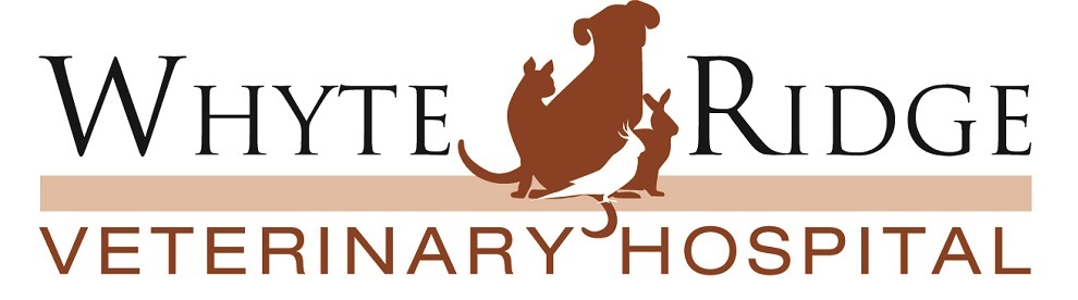 White Ridge Veterinary Hospital Logo