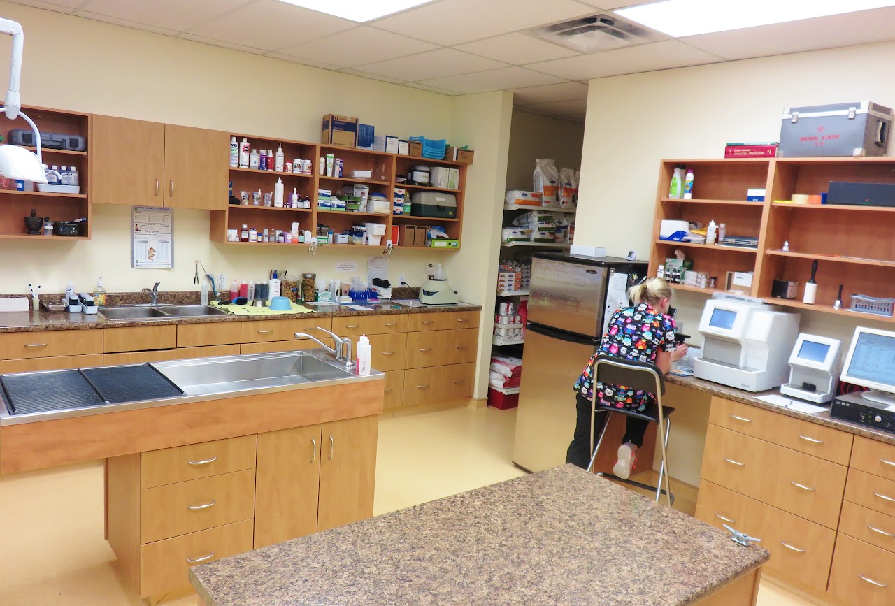 Treatment Lab Area